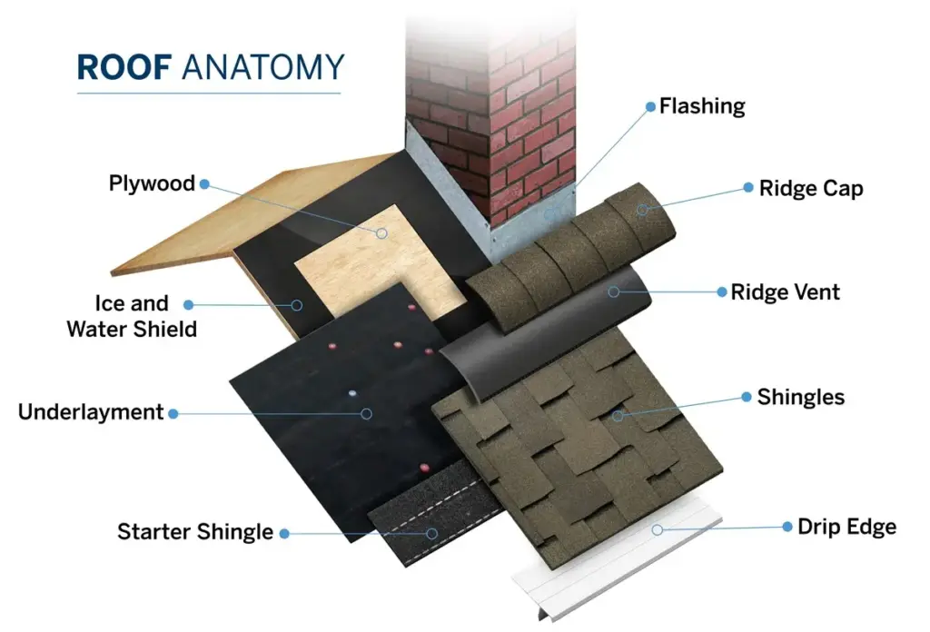 A Comprehensive Guide to Residential Roof Components"